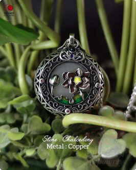 Discover with nature collection